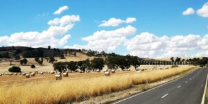 On the road at Dookie